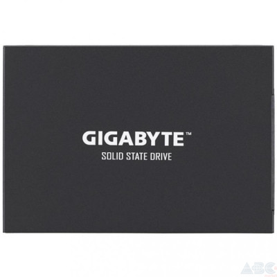 SSD GIGABYTE UD PRO 256GB (GP-GSTFS30256GTTD)